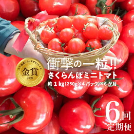 【ふるさと納税】予約受付 個数限定 新食感 トマト さくらんぼトマト ミニトマト ぷちぷよ 約1kg 定期便 6回 野菜ソムリエサミット 金賞 受賞 産地直送 野菜 フルーツ サラダ 濃厚 ツヤツヤ ぷにぷに やわらかい 希少 塩農法 リコピン 長田農園 愛知県 碧南市 送料無料