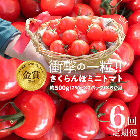 【ふるさと納税】【先行受付】 2027年1月～6月毎月発送 個数限定 さくらんぼミニトマト 定期便 約500g 6回 新食感 ぷちぷよ 野菜ソムリエサミット 金賞 受賞 ランキング急上昇 産地直送 国産 野菜 濃厚 人気 衝撃の一粒 希少 長田農園 お取り寄せ 愛知県 碧南市 送料無料