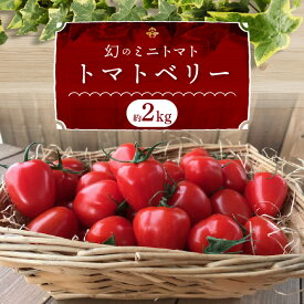 【ふるさと納税】産地直送 甘さ抜群 トマト苦手な方にもオススメ トマトベリー 約 2kg トマト 甘い 濃厚 幻 ミニトマト いちご型 肉厚 皮が薄い フルーツミニトマト 長田農園 リコピン 野菜 食品 お取り寄せ 送料無料