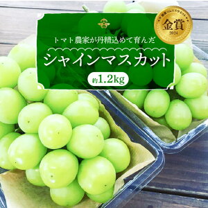 yӂ邳Ɣ[Łzs\ ʌ ]4.89 LO VC}XJbg  1.2kg × 2[ ʕ  t[c }XJbg W[V[ Ԃǂ Y  fU[g Â VN G { ̌