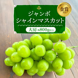 【ふるさと納税】シャインマスカット 大房 800g以上 1房 食べ応え十分 ジャンボサイズ 冷蔵 【個数限定】 長田農園 送料無料