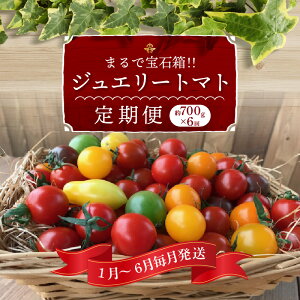 yӂ邳Ɣ[Łz1 ` 6  ܂ g}g̕Δ WG[g}g   700g × 6  g}g ~jg}g t[cWG[g}g m ɓs c_  