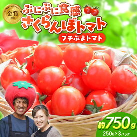【ふるさと納税】【2027年発送】 衝撃の一粒 奇跡のさくらんぼ ミニトマト 250g × 3 パック 約 750g 野菜 ソムリエサミット 金賞 受賞 希少 トマト 旬 ぷちぷよ 薄皮 甘い デリケート ツヤツヤ もっちり 食べ物 野菜 冷蔵 長田農園 お取り寄せ 愛知県 碧南市 送料無料
