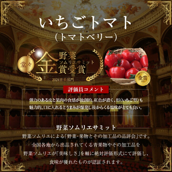 楽天市場】【ふるさと納税】1月 ～ 6月 毎月発送 幻のミニトマト 