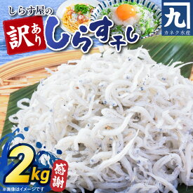 【ふるさと納税】訳あり しらす干し 2kg 大きめ 家庭用 数量限定 ふっくら 天日塩 しらす屋のしらす干し 鮮度 大浜漁港 伊勢湾 サイズ大きめ 味濃いめ ちりめんモンスター チリモン しらす丼 冷凍 国産 お取り寄せ 愛知県 碧南市 送料無料