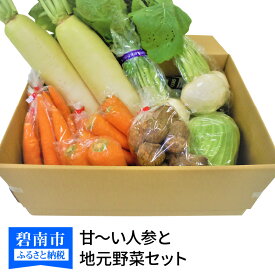 【ふるさと納税】旬 野菜 お届け 甘～い人参 地元野菜 セット へきなん美人 にんじん 野菜 愛知県 碧南市 送料無料