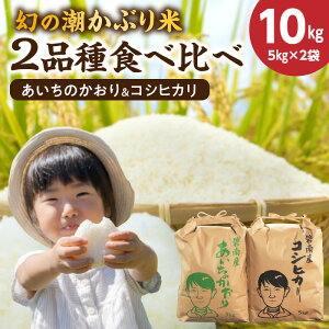yӂ邳Ɣ[Łz]4.4  ߘa7NY V ̂ ̒Ԃ ̂ RVqJ 2i Hה e 5kg × 2 v 10kg А  RCX Â ٓ ɂ Hi 