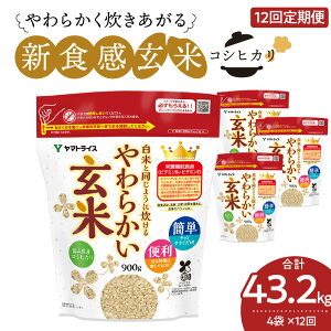 yӂ邳Ɣ[ŁzĂƓ悤ɐ 炩  12  3.6kg (900g×4)  xRY RVqJ SS }gCX   h{Lx ȒP ֗ ٓ ɂ H