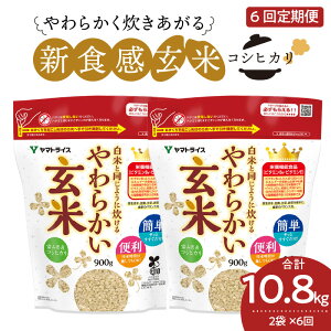 yӂ邳Ɣ[ŁzVH 炩 ĂƓ悤ɐ  6  1.8kg (900g×2)    SS }gCX h{Lx ȒP ֗ ٓ ɂ Hi Hו 