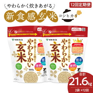 yӂ邳Ɣ[ŁzĂƓ悤ɐ錺  12 VH 炩 900g × 2 × 12 xRY RVqJ i Y sgp ȒP h{Lx y Y SSȃ