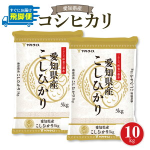 yӂ邳Ɣ[Łzʌ mYRVqJ 10kg(5kg×2)@SSȃ}gCX  ٓ ɂ Hi Hו 퉷   m ɓs