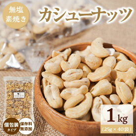【ふるさと納税】直火焙煎 無塩 素焼き カシューナッツ 25g × 40袋 計 1kg 個包装 保存料 無添加 香ばしさ 甘さ 食べきりサイズ 小腹 食べ過ぎ防止 ダイエット バランス食 健康志向 おやつ おつまみ お取り寄せ シュクレナッツ sucre nuts 愛知県 碧南市 送料無料