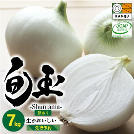 【ふるさと納税】 高評価☆4.68 訳あり とにかく甘い 新玉ねぎ 旬玉 7kg 季節ごとの旬玉 玉ねぎ 甘み豊か みずみずしい オニオン 生がおいしい フレッシュ サラダ 玉ねぎステーキ オニオンスープ JGAP認証農場 神重農産 お取り寄せ 愛知県 碧南市 送料無料