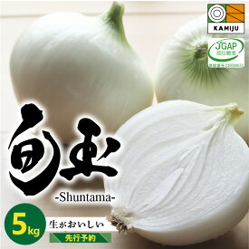 【ふるさと納税】 とにかく甘い 新玉ねぎ 旬玉 5kg サイズ 混合 JGAP認証農場 神重農産 ブランド玉ねぎ 生がおいしい フレッシュ 玉ねぎ オニオン 野菜 サラダ 玉ねぎステーキ オニオンスープ 甘み豊か ジューシー お取り寄せ 愛知県 碧南市 送料無料