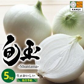 【ふるさと納税】2026年発送 高評価☆5.00 とにかく甘い 新玉ねぎ 旬玉 5kg サイズ 混合 農場 神重農産 ブランド玉ねぎ 生がおいしい フレッシュ みずみずしい ミネラル 玉ねぎ オニオン 野菜 スライス サラダ 玉ねぎステーキ オニオンスープ 愛知県 碧南市 送料無料