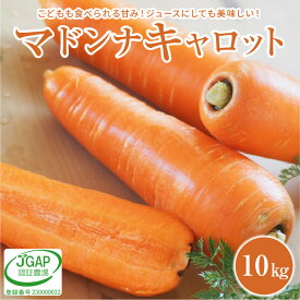 【ふるさと納税】こどもも食べられる甘み！ジュースにしても美味しい！「マドンナキャロット」 10kg 神重農産 送料無料