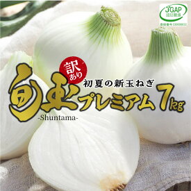 【ふるさと納税】【先行予約】 訳あり 期間限定 とにかく甘い 新玉ねぎ 旬玉 7kg 5月発送 初夏の新玉ねぎ 旬玉プレミアム 神重農産 ブランド玉ねぎ 玉ねぎ 国産 生がおいしい オニオンスライス 玉ねぎステーキ オニオンスープ お取り寄せ 野菜 愛知県 碧南市 送料無料