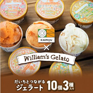 yӂ邳Ɣ[ŁzWF[g ACX lߍ킹 120 ml × 10 }hiLbg vegan ~N wV[ Z ECAYWF[g _d_Y R{ s[ibc~N Mtg 炾ɗD