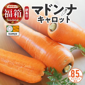 【ふるさと納税】＜フジテレビ『どっちのふるさと？』で紹介されました！＞ 福箱★2026 訳あり 野菜 にんじん マドンナキャロット 8.5kg 大小サイズ混合 国産 不揃い こどもも食べられる 甘み 料理 キャロット ジュース 野菜ジュース 福袋 愛知県 碧南市 お取り寄せ 送料無料