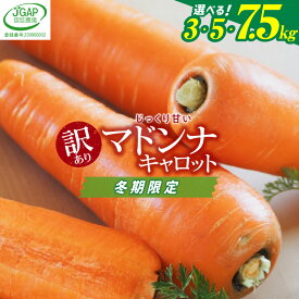 【ふるさと納税】高評価☆4.91 訳あり 国産 にんじん マドンナキャロット 3kg 5kg 7.5kg 先行予約 生鮮食品 甘みたっぷり 不揃い サイズ混合 こどもも食べられる 無添加ジュース 神重農産 JGAP認証農場 野菜 碧南市 特産 炊き込みご飯 煮物 かき揚げ 旬 お取り寄せ 送料無料