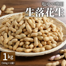 【ふるさと納税】2026年発送 事前予約 やみつき 極うま 生落花生 1kg ( 500g × 2袋 ) 生ピーナッツ 塩ゆで 専用 さとのか 甘み 茹で用 お取り寄せ 産地直送 愛知県 碧南市 送料無料