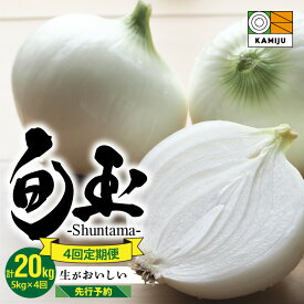 【ふるさと納税】2026年発送 【先行予約】 とにかく甘い 新玉ねぎ 食べ比べ定期便 計 20kg 生がおいしい 神重農産のブランド玉ねぎ 旬玉 玉ねぎ 定期便 5kg × 4回 国産 ミネラル オニオンスライス 玉ねぎステーキ オニオンスープ 野菜 お取り寄せ 愛知県 碧南市 送料無料