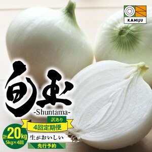 yӂ邳Ɣ[Łz2026N ys\z  4 󂠂 ƂɂÂ Vʂ˂ 5kg × 4 v 20kg  _d_Ỹuhʂ˂ ʂ˂ { Y TCY s ~l IjI