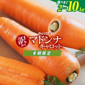 【ふるさと納税】＜フジテレビ『どっちのふるさと？』で紹介されました！＞ 高評価☆4.82 訳あり 冬期限定 にんじん マドンナキャロット 選べる 容量 2kg ～ 10kg 国産 甘い フルーツのような味わい お子様にもおすすめ 栄養 神重農産 野菜 愛知県 碧南市 送料無料