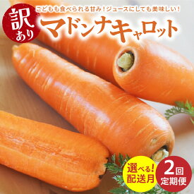 【ふるさと納税】＜フジテレビ『どっちのふるさと？』で紹介されました！＞訳あり定期便 2回 選べる 配送月 マドンナキャロット にんじん 5kg お届け キャロット 野菜 国産 不揃い 健康 食品ロス 削減 こどもも食べられる 甘み 愛知県 碧南市 お取り寄せ 産地直送 送料無料