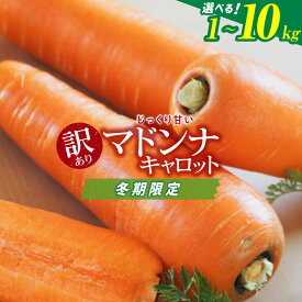 【ふるさと納税】＜フジテレビ『どっちのふるさと？』で紹介されました！＞ 高評価☆4.82 訳あり 冬期限定 にんじん マドンナキャロット 選べる 容量 1kg ～ 10kg 国産 甘い フルーツのような味わい お子様にもおすすめ 栄養 神重農産 野菜 愛知県 碧南市 送料無料