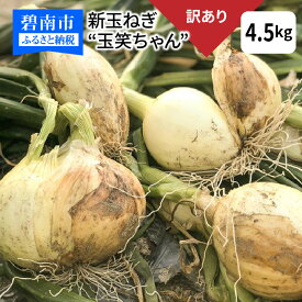 【ふるさと納税】 食品ロス削減 新玉ねぎ 玉笑ちゃん 4.5kg 玉ねぎ 玉葱 タマネギ オニオン 常備野菜 保存野菜 オニオンスープ 愛知県 碧南市 産地直送 送料無料