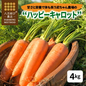【ふるさと納税】にんじん 甘い 栄養で体も笑う 武ちゃん農場 ハッピーキャロット 4kg 人参 キャロット にんじんジュース 人参ジュース 離乳食 とうもろこし 産地直送 送料無料