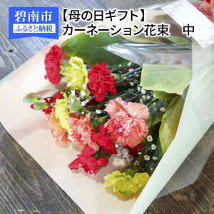 yӂ邳Ɣ[Łz̓ r^~J[ J[l[V ԑ TCY Mtg  v[g 蕨 A yY 