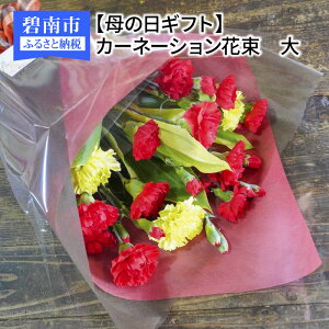 yӂ邳Ɣ[Łz̓ 邢  O[ J[l[V ԑ TCY Mtg  v[gp 蕨 A yY 