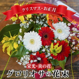 yӂ邳Ɣ[ŁzyNX}XE zhẺԁ@OIT̉ԑ  Mtg v[g 蕨 