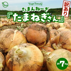 【ふるさと納税】2024年発送 予約 個数限定 たまねぎ 7kg たまんねーぎ たまねぎさん VegeTanaQ 産地直送 お取り寄せ 碧南市 送料無料