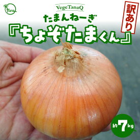 【ふるさと納税】2024年発送 予約 個数限定 たまねぎ 約7kg たまんねーぎ ちょぞたまくん VegeTanaQ 産地直送 お取り寄せ 碧南市 送料無料