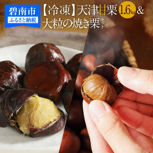 yӂ邳Ɣ[Łz\t VI Ⓚ VÊÌI 1.6kg 嗱 ĂI Zbg XC[c aXC[c I  