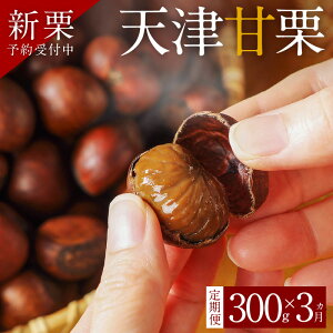yӂ邳Ɣ[ŁzqVIry{̒ցz s\ VÊÌI 300g × 3 Iܕt ÌI I ₳ Â XC[c aَq َq  H H̖o aXC[c \t } َq 