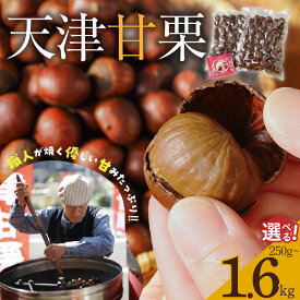 【ふるさと納税】ランキング急上昇 焼きたて 天津甘栗 選べる 容量 250g 800g 1.6kg 栗爪付き 保存料不使用 やさしい甘み 河北省 栗 甘栗 焼き栗 焼いた当日に発送 栗ご飯 おやつ スイーツ マロン 常温 衣浦食品 お取り寄せ 愛知県 碧南市 送料無料