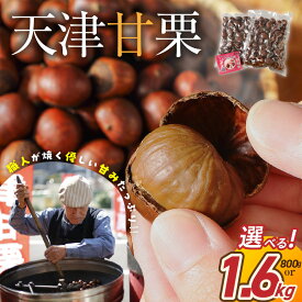 【ふるさと納税】予約受付 新栗 ランキング1位 高リピート率 天津甘栗 選べる容量 800g/1.6kg 焼いた当日に発送 やさしい甘み 保存料不使用 甘栗 焼き栗 ベテラン職人が焼き上げる 栗ご飯 和菓子 洋菓子 おやつ スイーツ マロン 愛知県 碧南市 送料無料