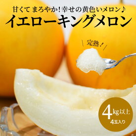 【ふるさと納税】メロン 完熟 イエローキングメロン 4kg 以上 4玉 入り 甘い 果物 柔らかい まろやか 食感 糖度 13〜15度 2024年 発送 鈴良農園 愛知県 碧南市 お取り寄せ お取り寄せフルーツ 送料無料