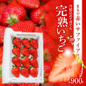 【ふるさと納税】 12月から順次発送 いちご ゆめのか 赤いサファイア 約 900g 贈答 完熟いちご イチゴ 苺 甘い 夢が叶う 久留米55号 系531 O-farm 送料無料 碧南市