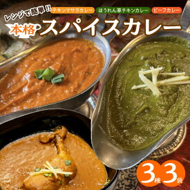 【ふるさと納税】レンジで簡単 本格 スパイスカレー 3種 3袋 セット カレー 食べ比べ 骨付き 鶏もも肉 チキンマサラカレー ほうれん草 チキンカレー ビーフカレー インドカレー インドチリ 辛さ調節 子供 大人 人気 お取り寄せ 愛知県 碧南市 送料無料