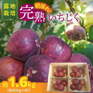 yӂ邳Ɣ[ŁzIn͔|  tbV n   400g×4pbN 1.6kg t[c ʕ ɂݔ_ g}g_ h[tB قǂ悢Â 炲ƐHׂ H W R|
