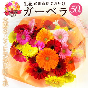 【ふるさと納税】【ラッピング付】 生花 ガーベラ ミックス 花束 50本 高さ 約55cm 幅 約40cm 日付指定可能 ギフト プレゼント ラッピング 誕生日 記念日 結婚記念日 出産祝い 産地直送 インテ