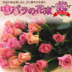 yӂ邳Ɣ[Łzytw\z  sN o ԑ 30{  50cm  30cm Mtg bsOt VN Ԏ Q ^т₷ TCY Â ؂₩  CeA ͋C 