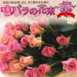 yӂ邳Ɣ[Łzytw\z  sN o ԑ 30{  50cm  30cm Mtg bsOt VN Ԏ Q ^т₷ TCY Â ؂₩  CeA ͋C 
