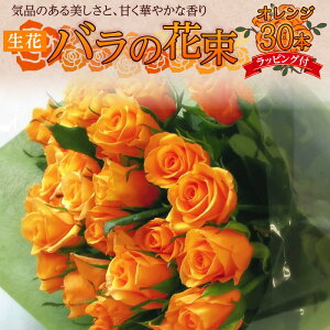 yӂ邳Ɣ[Łzytw\z  IW o ԑ 30{  50cm  30cm Mtg bsOt VN Ԏ Q ^т₷ TCY Â ؂₩  CeA ͋C 