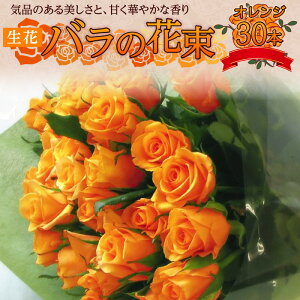 yӂ邳Ɣ[Łzytw\z  IW o ԑ 30{  50cm  30cm Mtg bsOt VN Ԏ Q ^т₷ TCY Â ؂₩  CeA ͋C 